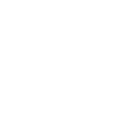 Escudo Personal de los Servicios FACH